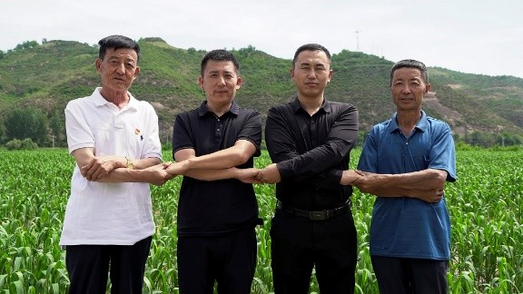 “延安小米”产业启动，“两助两共”促延链增收