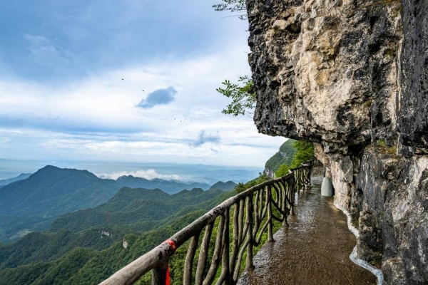 畅游金佛山、尝鲜方竹笋！快来解锁你的寻味出行之旅