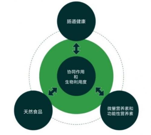 全球1/3的人患营养不良，基底营养成为补剂市场下一个增长点