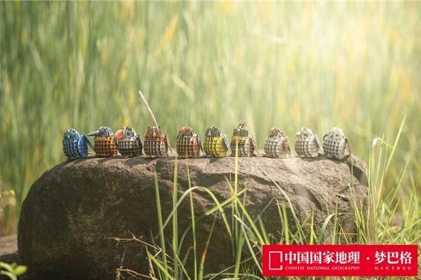 《中国国家地理》重磅推出全新自然教育玩具品牌——梦巴格