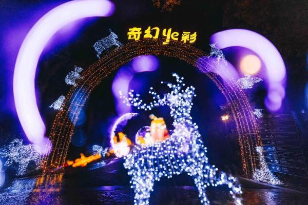 杭州野生动物世界暑期“奇幻夜游”收官，打造“越夜越野”新体验