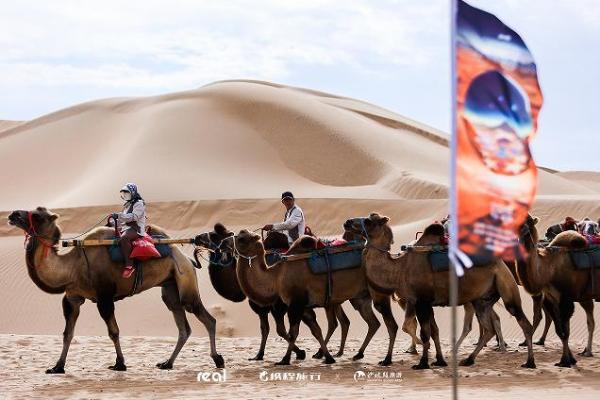 “沙坡头·沙漠传奇后世代音乐节”激情落幕，沙坡头区文旅注入新活力