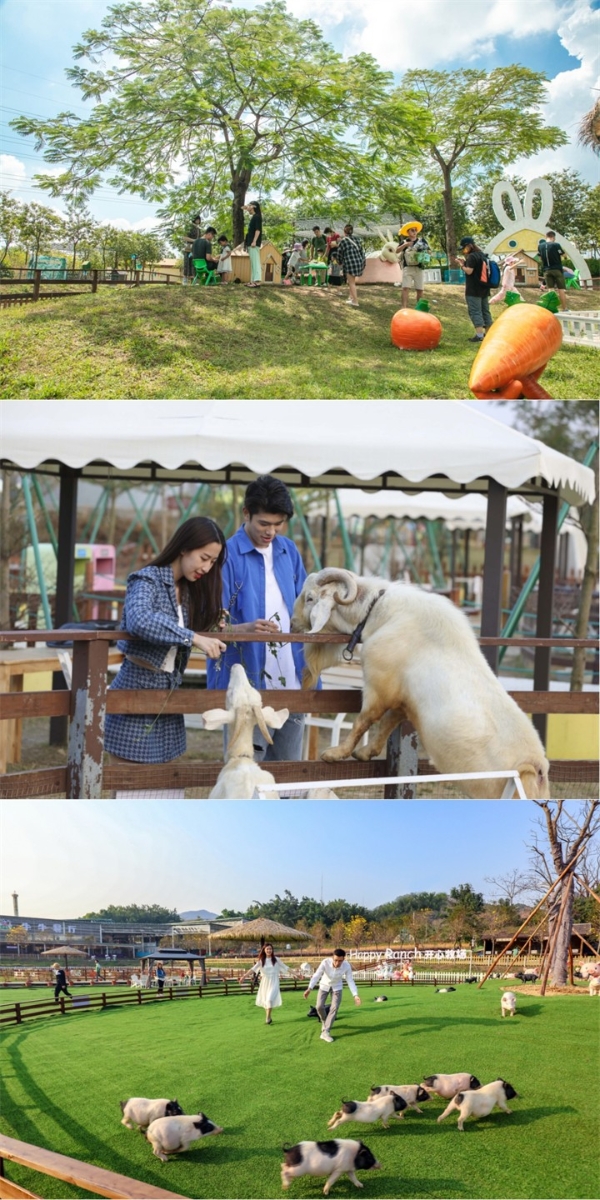 万紫千红迎国庆，花好月圆贺中秋，打卡广东盈香醉美中国红