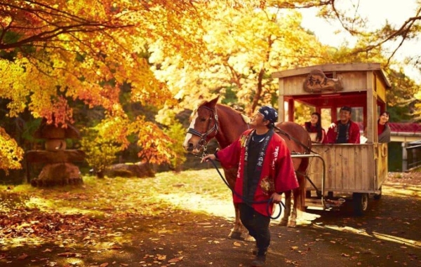 红叶和苹果即将登场，开启青森风情的秋日时光
