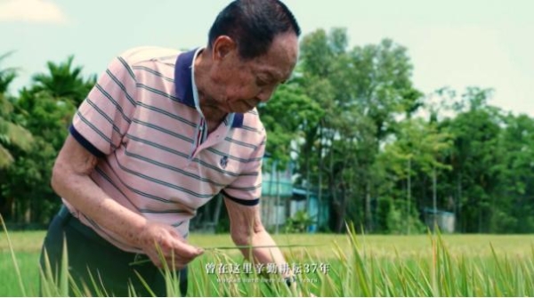 国庆新玩法！重走千年古城稻香路，跟着“顶流”易烊千玺打卡洪江市