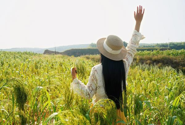 2023全国网络名人绿色偏关寻糜之旅