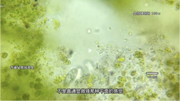 小伙在抖音拍微生物走红，作品走入中学课堂、获央视点赞