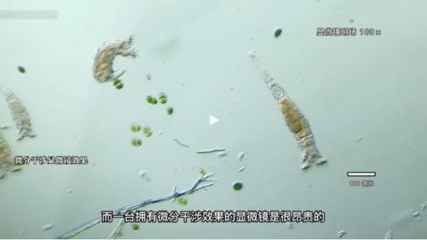 小伙在抖音拍微生物走红，作品走入中学课堂、获央视点赞