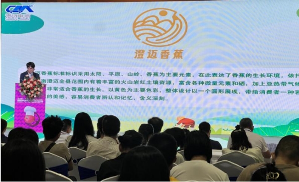 澄迈县农产品品牌推介会暨农产品线下品牌宣传活动在广州圆满举行 