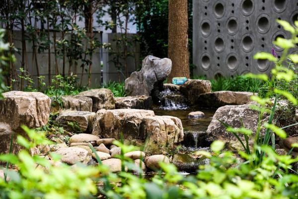  虹桥南丰城打造上海首个商业项目体内的生境花园