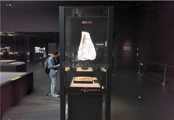 现代科技重现千年文物风采 透明OLED让博物馆更有意思