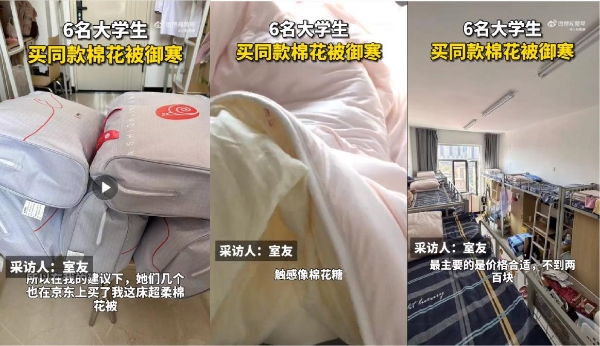 宿舍6名大学生购买同款棉花被御寒！京东11.11保暖冬被热销