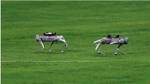 亚运会和亚残运会焦点宇树机器狗：创新科技与运动的完美结合