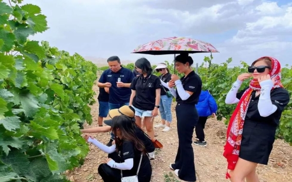 走进“宁夏第一庄”长城天赋酒庄，体验打卡紫色浪漫之旅！