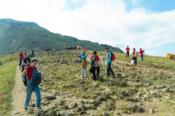 够野你就来——2023中国南酸枣之乡旅游文化节&齐云山登山节圆满落幕