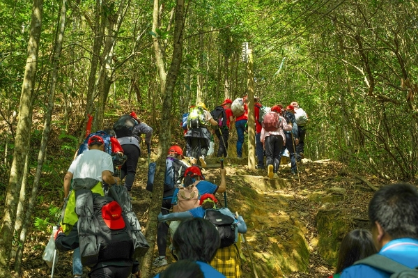 够野你就来——2023中国南酸枣之乡旅游文化节&齐云山登山节圆满落幕