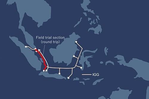 NEC海底光缆成功实现世界最高水平800 Gbps远距离传输  ——现场试验达到了世界最长的2,100公里传输