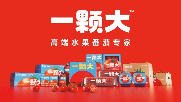 蔬果品牌首个！高端水果番茄专家一颗大™荣获“中国食品健康七星奖”