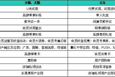 2023年“双11”购物节洞察