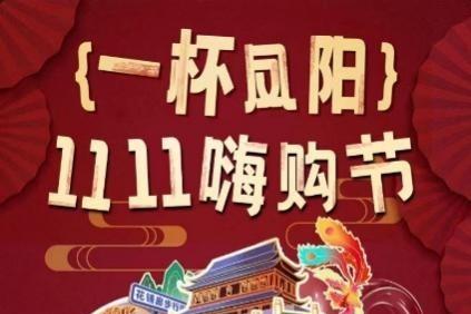 京东11.11携手凤阳政府开展直播探厂溯源 玻璃水具低至2元起