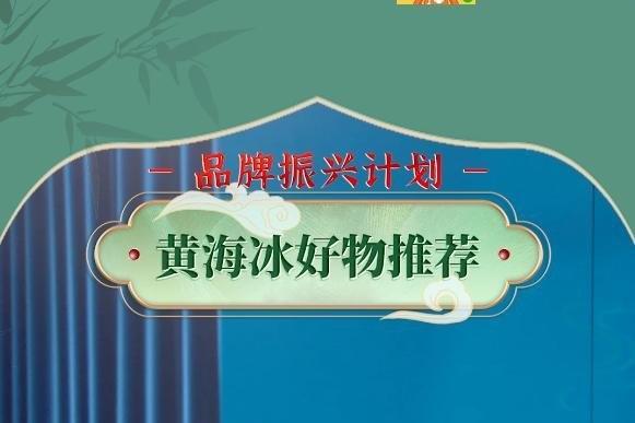 中国著名品牌VOIT沃特受邀参加中国品牌创新发展工程活动