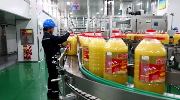 金龙鱼黄金比例食用植物调和油昆明工厂首产下线 云南消费者尽享本地好油