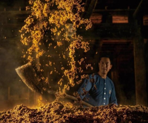 五粮春：蕴藏五种粮食精华，品质之选的浓香佳酿