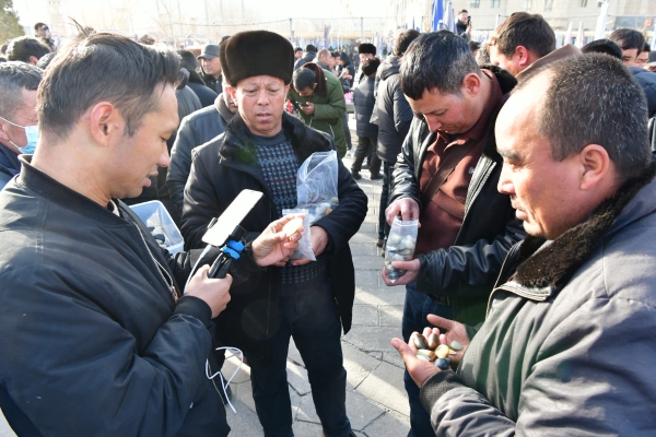 万人游新疆| 观昆仑千里苍穹，品和田人文珍馐，安徽媒体采风团四入新疆体验冬之绝美