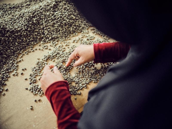 瑞幸咖啡全球寻豆之旅探访印尼 产地溯源持续挖掘高品质咖啡 