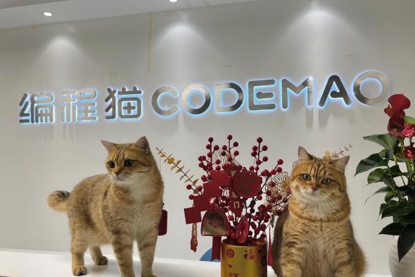 为下一代提供更有价值的教育 点猫科技获评“2023脉脉MAX年度职得去雇主”