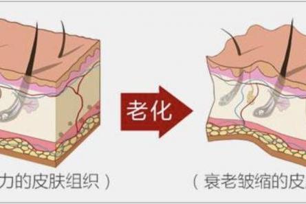 淡纹紧致，细腻肌肤，珀莱雅能量面霜带来深层抗老体验