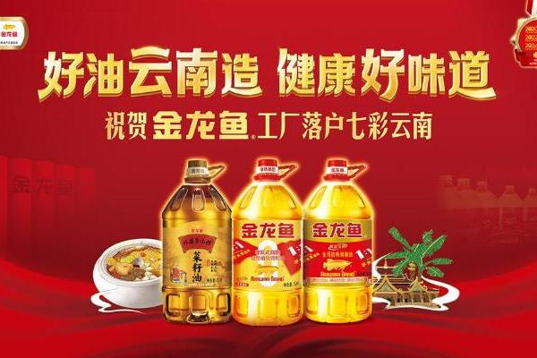 金龙鱼黄金比例食用植物调和油昆明工厂首产下线 云南消费者尽享本地好油