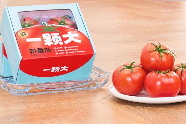 创立一周年，高端番茄品牌一颗大™如何实现快速且高质量发展？