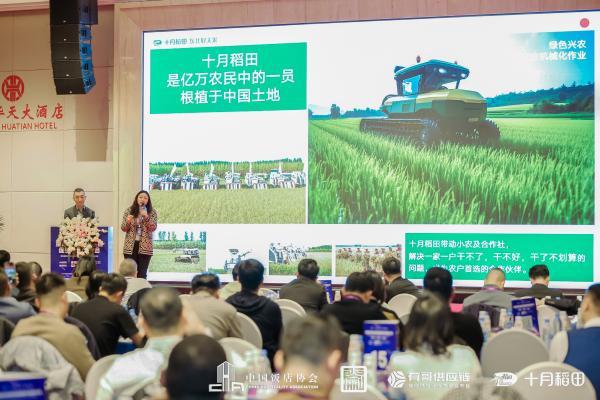 把农业建设成为大产业，十月稻田全链路体系助力农业现代化发展