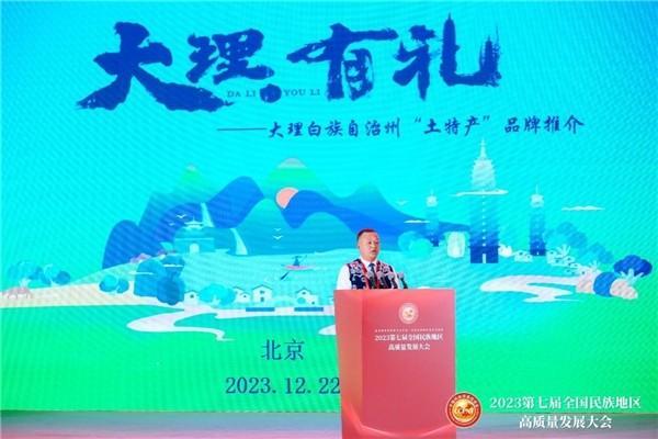 去有风的地——大理特色产品亮相第七届全国民族地区高质量发展大会