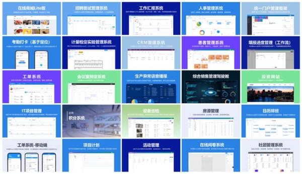葡萄城位居IDC MarketScape：中国低代码/无代码开发平台2023 年厂商Major Player类别