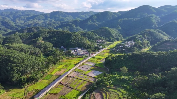 藏在大山深处的“消碳庄园”背后的力量，飞龙：年轻村官的热血