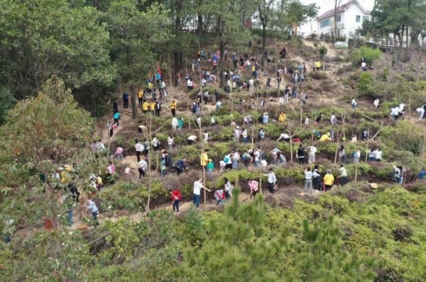  东莞观音山文旅活动绘就美丽新画卷