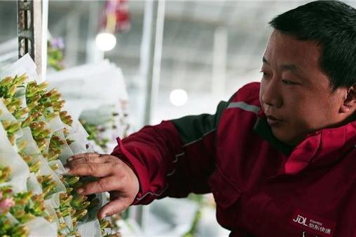 京东小哥被称“人间丘比特”：半月发400万枝花 最高每天寄2万单
