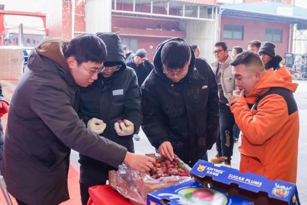 健康鲜果礼，甄启幸福年！欢乐果园首批空运智利西梅抵华