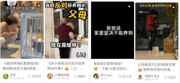 人宠关系变了，“家”也变了