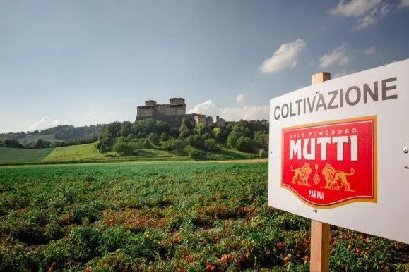 意大利知名番茄制品品牌慕意Mutti抗逆而行，2023年番茄加工季成功收官