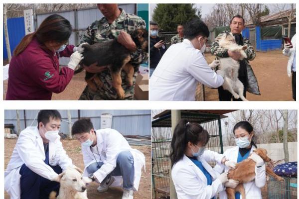 瑞派公益 | 瑞派宠物医院助力CRC狂犬病防治项目，开展春季暖心公益活动