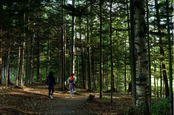 “自由森呼吸，自在赴山野”Club Med地中海俱乐部邀您共赴夏日清凉山林之旅 