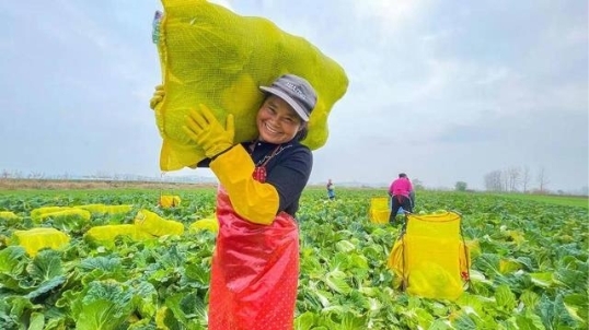 心怀“民生事”，华润苏果履责之路的坚守与探索 