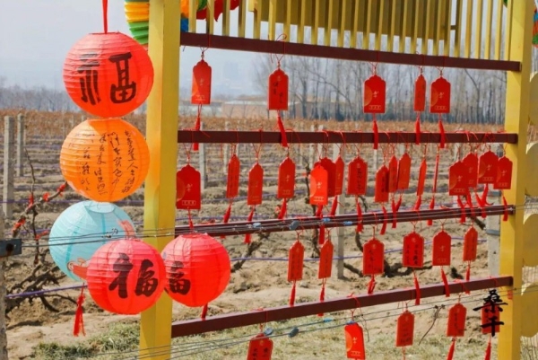  龙藤祈新·春山可望|长城桑干酒庄展藤节，携春而来