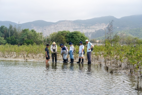 滨海生态再添新绿 各方聚力共护生物多样性 马爹利在琼粤两地同步启动红树林保护项目第三阶段工作