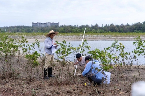 滨海生态再添新绿 各方聚力共护生物多样性 马爹利在琼粤两地同步启动红树林保护项目第三阶段工作