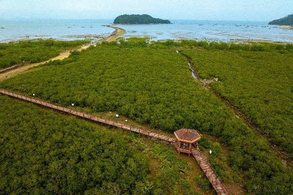 滨海生态再添新绿 各方聚力共护生物多样性 马爹利在琼粤两地同步启动红树林保护项目第三阶段工作