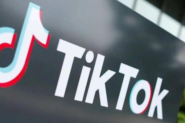  PingPong启动同行者联盟 | 赋能TikTok Shop商家出海“掘金”